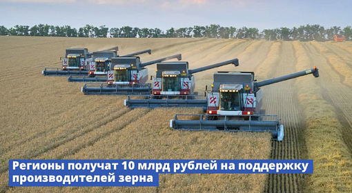 Правительство направит регионам средства на поддержку производителей зерна