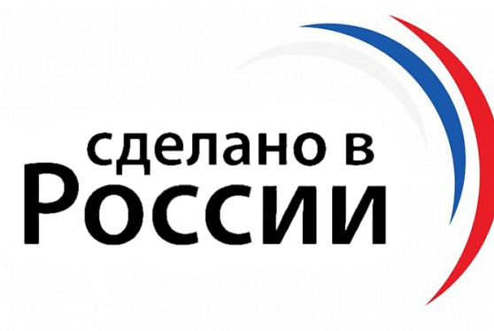 Лучшим просветительским проектом в сфере экономики стал "Сделано в России"
