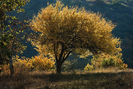Правительство утвердило постановление о создании национального парка «Святые горы»