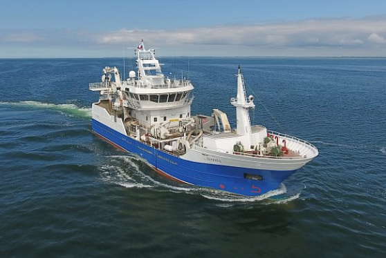 Охотоморская путина-2026: почти миллион тонн минтая, рост по треске и сельди