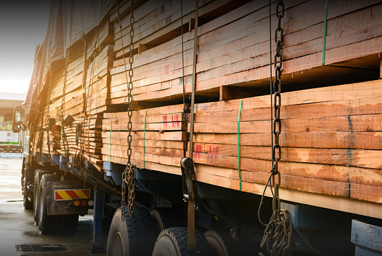 Во ФГИС ЛК растет число сделок по экспорту древесины в дружественные страны