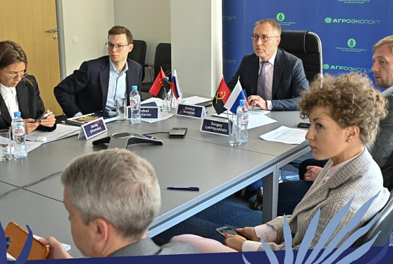 Начала работу онлайн деловая миссия российских экспортеров с Анголой