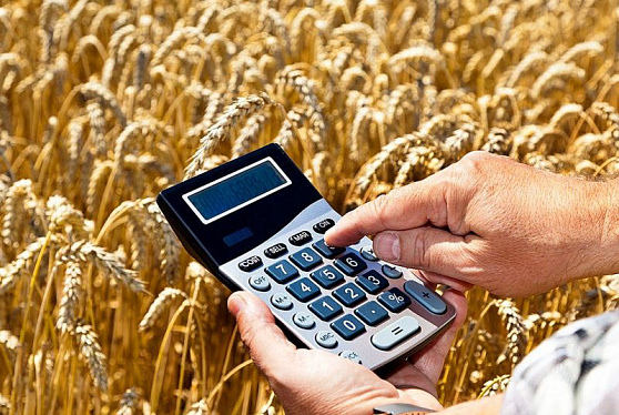 В этом году «Агростартап» поможет реализовать более 850 проектов на селе