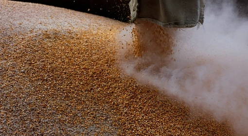 Крым планирует начать экспорт зерновых в Африку и на Ближний Восток